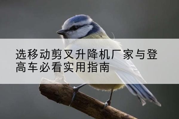 清水电动升降机厂家-选移动剪叉升降机厂家与登高车必看实用指南