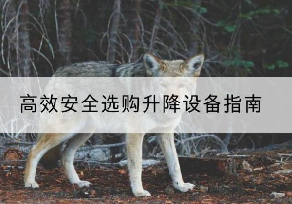 清水升降货梯厂家推荐-*安全选购升降设备指南