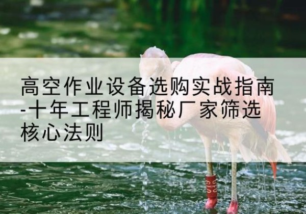 清水剪叉式升降机厂家-高空作业设备选购实战指南-十年工程师揭秘厂家筛选核心法则